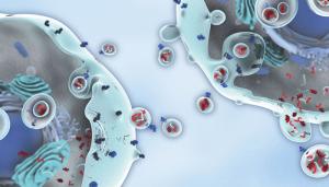 Exosome: Secretul regenerării celulare în produsele de skincare de top