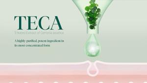 TECA – Extractul pur de Centella Asiatica pentru o piele calmă și sănătoasă