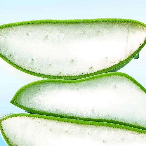 By Wishtrend Blue Oasis Ser de Fata cu Aloe Vera - Hidratare Intensiva si Calmanta pentru Piele Sensibila, 30 ml