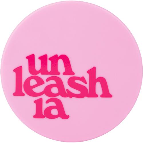 Diy Mini Cushion Case