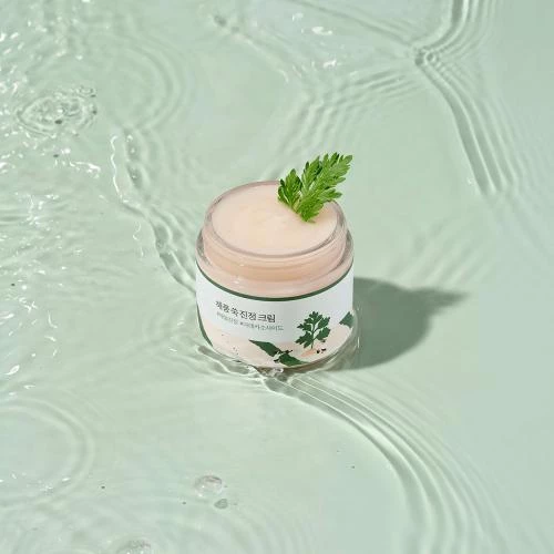 ROUND LAB Mugwort Crema pentru fata - hidratare calmanta si uniformizarea tenului, 80 ml