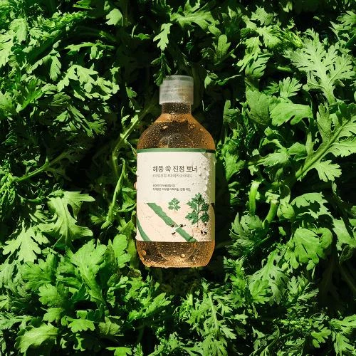 ROUND LAB Mugwort Toner calmant pentru fata Artemisia - Hidratare si calmare anti-roseata, 300 ml