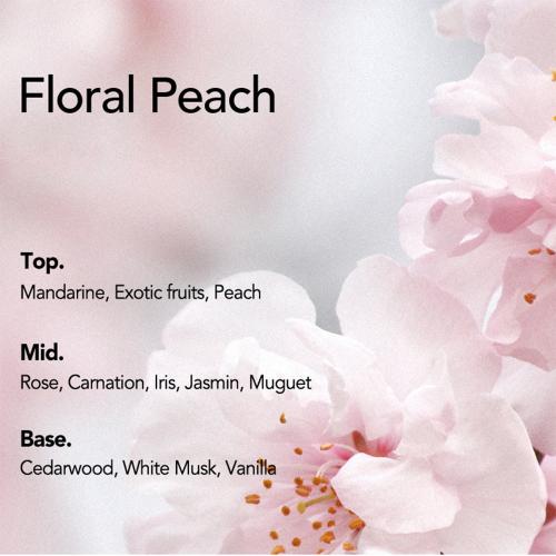 CURLY SHYLL Silky Oil - ulei de par formulat cu ulei de seminte de camelie si ulei de samburi de argan, care contribuie la refacerea parului uscat sau deteriorat si la metinerea parului neted - 13 ml