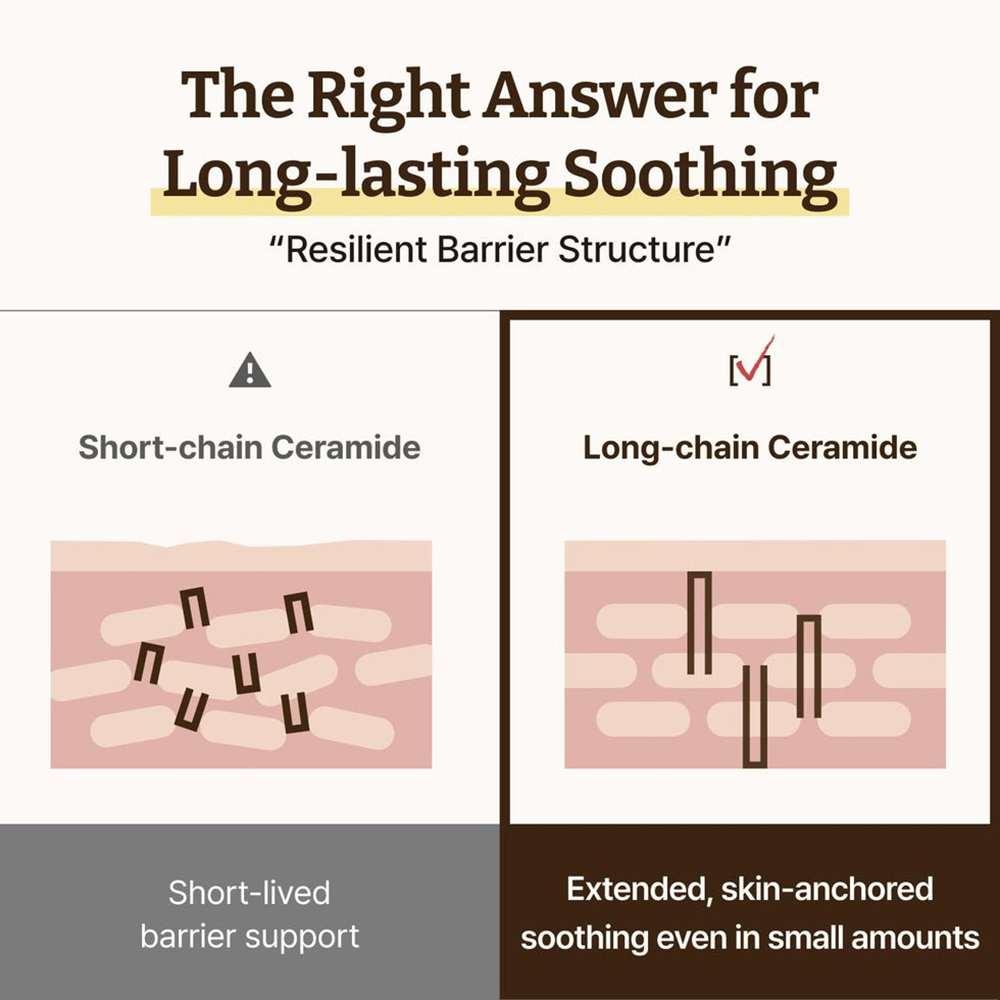 DR.REJU-ALL Advanced LC-Ceramide Barrier Cream - crema de fata formulata cu ceramide si niacinamida, care contribuie la hidratarea pielii si la metinerea confortului cutanat - 50 ml