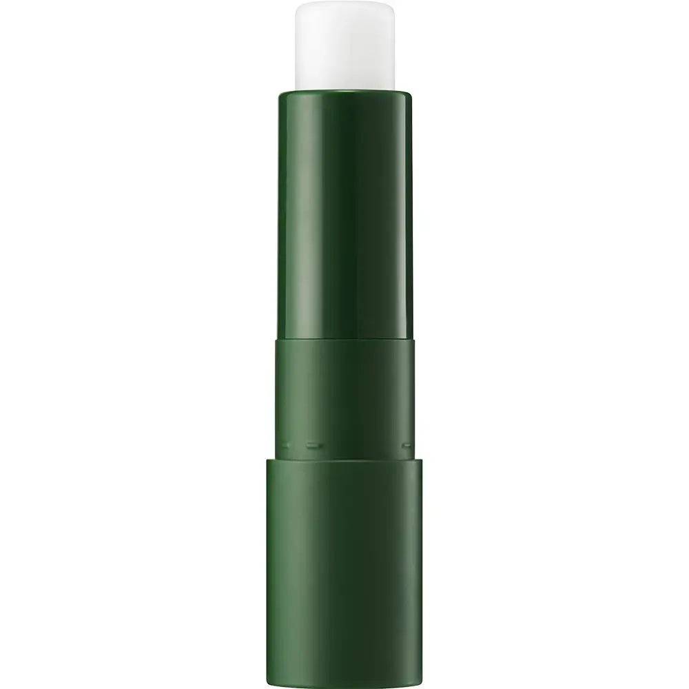 SKINFOOD Avocado Stick Balsam de Buze cu Avocado - Hidratare Intensiva si Protectie, 4.5g