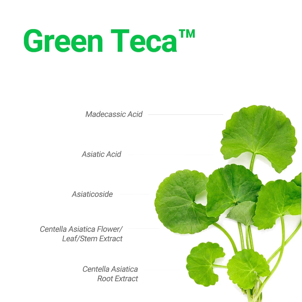 CENTELLIAN24 Madeca Derma Shield Safe Moisture Sun Cream Crema de fata - protectie si hidratare, 50 ml