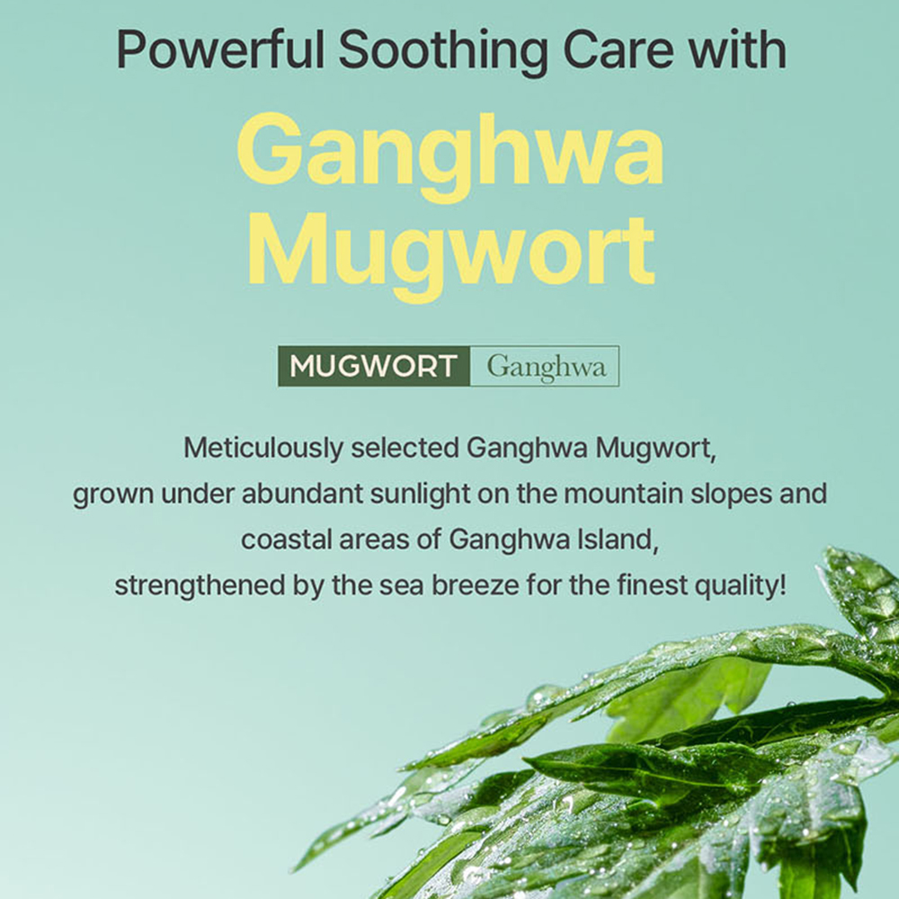 I'M FROM Mugwort Mask 70 gr - Masca de fata formulata cu mugwort si alantoina, care contribuie la calmarea disconfortului si la metinerea hidratarii pielii