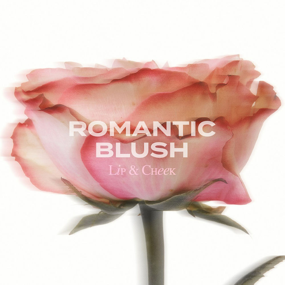 Romantic Blush Lip and Cheek Nuantator pentru buze 11 Ballerina 3.7 gr