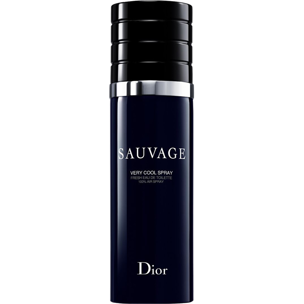 Christian Dior Sauvage Apă de toaletă pentru bărbați 100 ml  Parfimoro