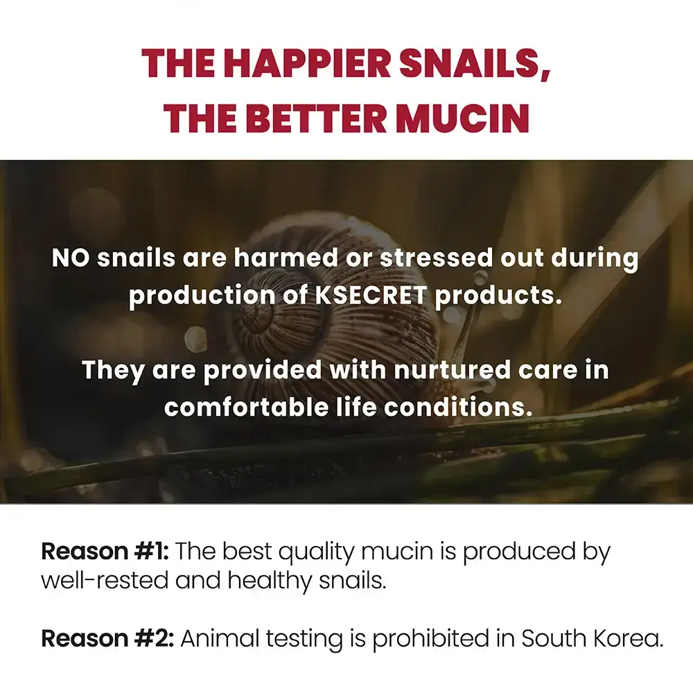 KSECRET Seoul 1988 Crema pentru fata Snail Mucin 93% si Orez - Hidratare intensa si efect antirid, 100 ml