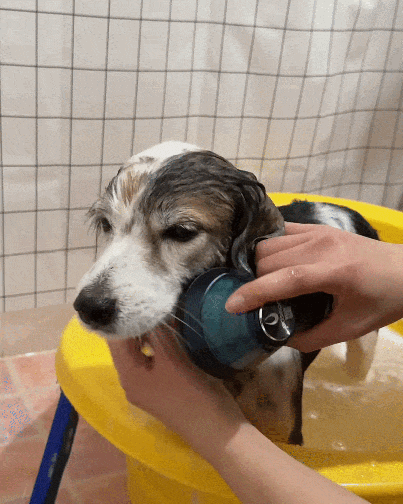 POSEION Shower Head BT100 SW, Snow White - cap de dus magnetizant care contribuie la filtrarea impuritatilor din apa de dus si la metinerea confortului pielii si scalpului