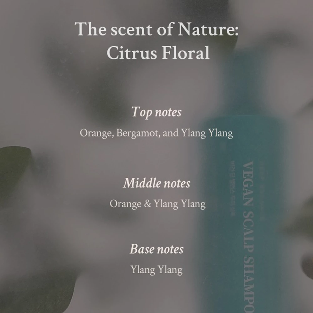 VILLAGE 11 FACTORY Vegan Deep Balance Scalp Shampoo sampon - hidratare si calmare, 300 gr