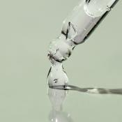 ELYN'S LAB Acne Control 10% Niacinamide +1% Zinc - ser de fata formulat cu niacinamida si Zinc PCA, care contribuie la reglarea productiei de sebum a pielii si la metinerea stratului protector natural al pielii - 30 ml