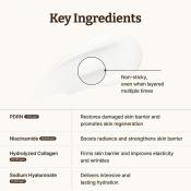 DR.REJU-ALL Advanced PDRN Rejuvenating Cream - crema de fata formulata cu PDRN si niacinamida, care contribuie la sustinerea regenerarii pielii si la imbunatatirea aspectului general al tenului - 20 ml