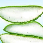 By Wishtrend Blue Oasis Ser de Fata cu Aloe Vera - Hidratare Intensiva si Calmanta pentru Piele Sensibila, 30 ml