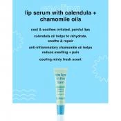 B.fresh Bye Bye to the Burn Cooling Lip Ser de buze racoritor cu extract de menta - hidratare si calmare naturala, 15 ml