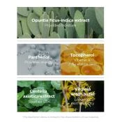 SPF TO GO - Breloc auriu premium + Yadah Cactus Sunscreen SPF50+ PA++++ (35 ml) - editie limitata