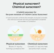 SPF TO GO - Breloc auriu premium + Yadah Cactus Sunscreen SPF50+ PA++++ (35 ml) - editie limitata