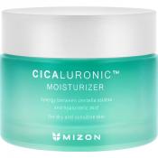 Mizon Cicaluronic Moisturizer – Cremă de față vegană cu Centella Asiatica și acid hialuronic pentru hidratare intensă 50 ml