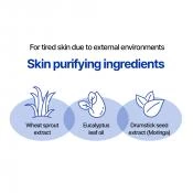 REAL BARRIER Cream Cleansing Spuma de Curatare Pentru Ten Sensibil si Uscat - Curatare Delicata si Hidratare Intensa, 120 ml
