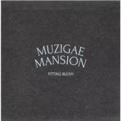 MUZIGAE MANSION Fitting Blush Fard de Obraz 04 Vibe - Textura Ultrafina si Control Sebum, 5 gr