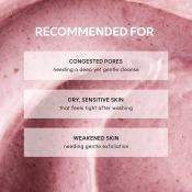 Fresh Rosehip Rice Mochi Cleanser Balsam de curatare 120 gr