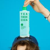 Nature Republic Green Derma Tea Tree Cica Big Toner – Toner de Față cu Extract de Arbore de Ceai, 500 ml | K-beauty