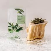 MIZON Joyful Time Essence Mask Green Tea masca - hidratare si elasticitate, 23 gr