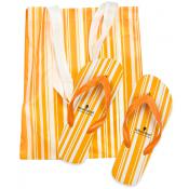 Kit vara Geanta si slapi pentru plaja