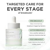 Lab In Nature Madagascar Centella Azelaic Acid 10 Ampoule Ser de fata 30 ml