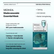 Madecassoside Essential Sheet Mask Blemish Repair Masca de fata 24 ml