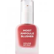 HOUSE OF HUR Moist Ampoule Blusher - fard de obraz lichid cu textura usoara tip ser, care contribuie la obtinerea unui plus natural de culoare si luminozitate si la metinerea unui finisaj neted si natural - 20 ml - 02 Deep Plum
