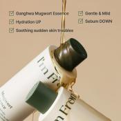 I'M FROM Mugwort Essence 150 ml - Esenta formulata cu mugwort, care contribuie la calmarea pielii sensibilizate si la mentinerea hidratarii si a echilibrului dintre apa si sebum