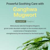 I'M FROM Mugwort Essence 150 ml - Esenta formulata cu mugwort, care contribuie la calmarea pielii sensibilizate si la mentinerea hidratarii si a echilibrului dintre apa si sebum