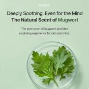 I'M FROM Mugwort Mask 70 gr - Masca de fata formulata cu mugwort si alantoina, care contribuie la calmarea disconfortului si la metinerea hidratarii pielii