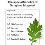 I'M FROM Mugwort Mask 70 gr - Masca de fata formulata cu mugwort si alantoina, care contribuie la calmarea disconfortului si la metinerea hidratarii pielii