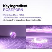 PDRN Lifting Pad Toner de fata 100 buc