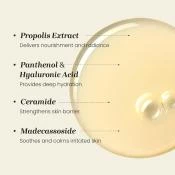 Propolis Treatment Ampule Esenta 150 ml