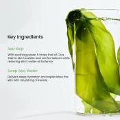 BIODANCE Refreshing Sea Kelp Real Deep Mask Sheet masca de fata - calmare si hidratare si controlul sebumului, 34 gr