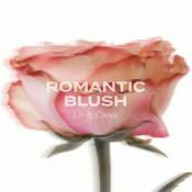 Romantic Blush Lip and Cheek Nuantator pentru buze 12 Peach Mousse 3.7 gr