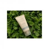 CURLY SHYLL Root Remedy Masca pentru scalp si par Revitalizare & Anticadere - Fortifica Radacina si Previne Matreata, 40 ml