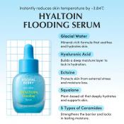 Serum Minis Discovery Kit Kit 5 x 10 ml