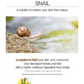 Mizon Snail Care Crema pentru maini si picioare Reparatoare Intensiva - Hidratare si Regenerare cu Extract de Melc, 100 ml