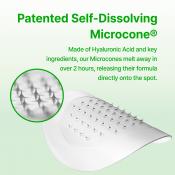 Trouble Care Microcone Patch Plasturi cu micro-ace 24 buc