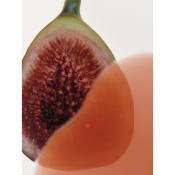 AXIS-Y Vita Glow Lip Oil - ulei de buze - Cozy Fig