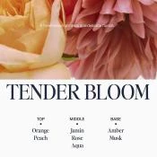 UNOVE Water Ampoule Leave-In Treatment - Spray Leave-In cu Proteine si Protectie Termica - pentru toate tipurile de par, 200 ml