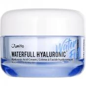JUMISO Waterfull Crema pentru fata Hidratare Intensa - cu Acid Hialuronic si Probiotice pentru Fermitate si Stralucire, 50 ml