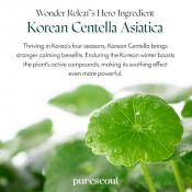 Wonder Releaf Centella Unscented Mini Kit Set