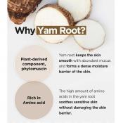 Isntree Yam Root Vegan Milk Cleanser – Lapte de curățare calmant cu extract de rădăcină de yam, 220 ml