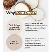ISNTREE Yam Root Lapte Demachiant Calmant - Curatare Delicata si Hidratare Vegana, 220 ml